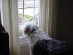Thanksgiving 2007 004.jpg