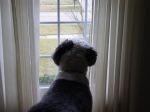Thanksgiving 2007 006.jpg