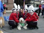 Guinness at the St. Patrick_s Day Parade.jpeg