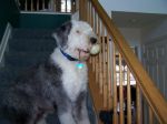 guinness on stairs.jpg