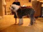 oliver side shot.jpg