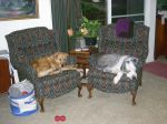 DSCN0563.jpg