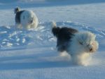 DSCF1273.jpg