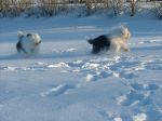 DSCF1274.jpg