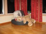 IMG_1618.JPG