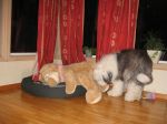 IMG_1619.JPG