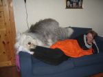 IMG_2284.JPG