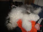 IMG_2293.JPG
