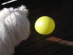 ballong-1.jpg