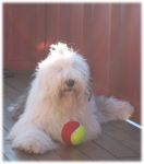 ballong-11.jpg