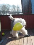 ballong-5.jpg