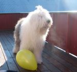 ballong-7.jpg