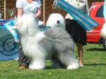 Sydchshow9.JPG