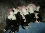 babies5.JPG