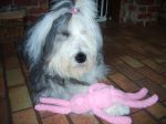brienewtoy.JPG