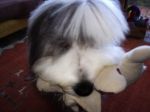 mystuffie.JPG