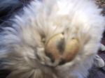 mystuffie0.JPG