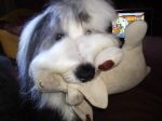 mystuffie2.JPG