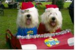 thewiggles.JPG