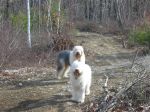 max&bree 040.jpg