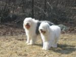 max&bree 052.jpg