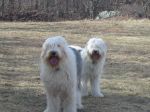 max&bree 058.jpg