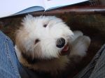 DSC00022.JPG