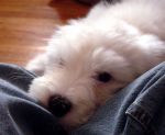 DSC00594.JPG