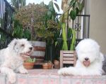DSC00623.JPG