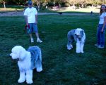 DSC00682.jpg