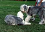 DSC00686.jpg