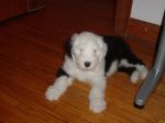 DSC00689.JPG