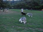 DSC00693.jpg