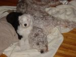 DSC00697.JPG