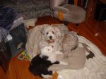 DSC00706.JPG