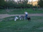 DSC00710.jpg