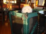 DSC00772.JPG