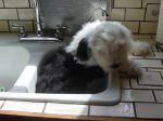 DSC00836.JPG