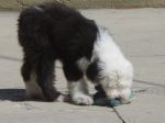 DSC00889.JPG