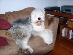 DSC00902.JPG