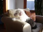 DSC00933.JPG