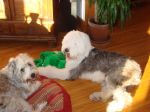 DSC00951.JPG