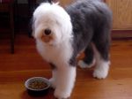 DSC01060.JPG