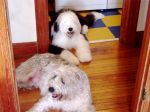 DSC01078.JPG