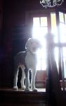 DSC01437.JPG