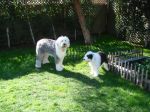 DSC03100.JPG