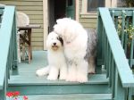 DSC03153.JPG