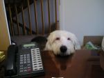 Monty 013.jpg