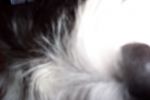 DCP_2651.JPG