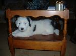 snoopy.JPG
